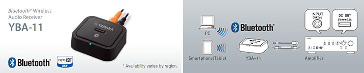 Valgfri Bluetooth Adapter