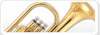 Tenor Horn