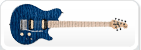 Electric Guitars