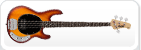 Bass Guitars