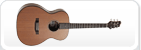 Acoustic Guitars
