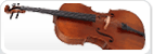 Celloer