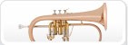 Flugel Horns